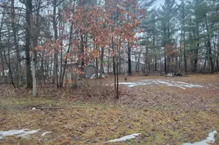 8650 Paw Paw Trail, Howard City, MI 49329 - Photo 5