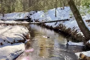 3833 E Creek Wood Dr, Chase, MI 49623 - Photo 1