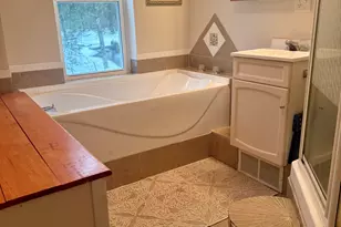 3833 E Creek Wood Dr, Chase, MI 49623 - Photo 19