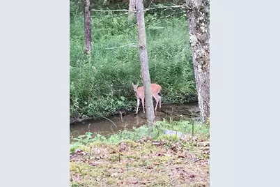 3833 E Creek Wood Drive, Chase, MI 49623 - Photo 41