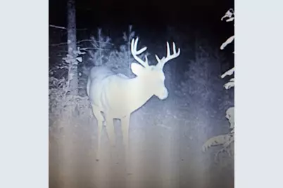 3833 E Creek Wood Drive, Chase, MI 49623 - Photo 45