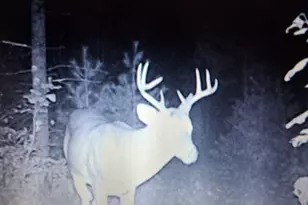 3833 E Creek Wood Dr, Chase, MI 49623 - Photo 45