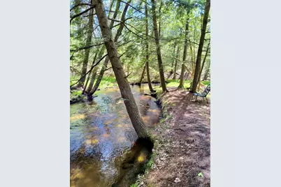 3833 E Creek Wood Drive, Chase, MI 49623 - Photo 47