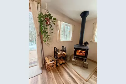 3833 E Creek Wood Drive, Chase, MI 49623 - Photo 37