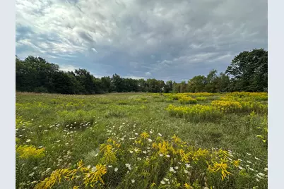 36 V/L N Ferris Road, Six Lakes, MI 48886 - Photo 11