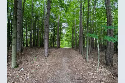 36 V/L N Ferris Road, Six Lakes, MI 48886 - Photo 23