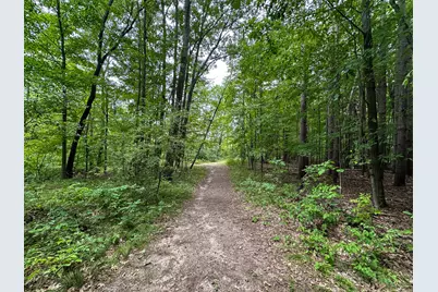 36 V/L N Ferris Road, Six Lakes, MI 48886 - Photo 19