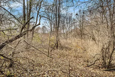 6769 Summerhill Lots C&d Drive SE, Alto, MI 49302 - Photo 7