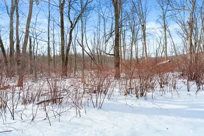 36259 Mill Lake Road, Gobles, MI 49055 - Photo 25