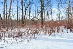 36259 Mill Lake Rd, Gobles, MI 49055 - Photo 25