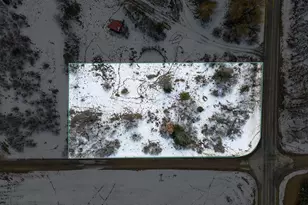 5998 N Bailey Rd, Coral, MI 49322 - Photo 1