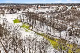 4641 Cottonwood Dr, Ann Arbor, MI 48108 - Photo 61