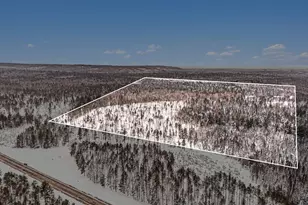 0 Vl N Pioneer Rd, Lake City, MI 49651 - Photo 1