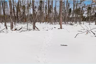 0 Vl N Pioneer Rd, Lake City, MI 49651 - Photo 5