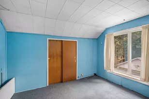 520 E Thorn St, Hastings, MI 49058 - Photo 17