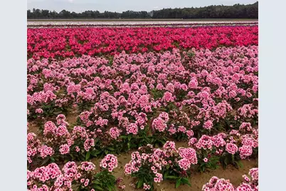 4089 30th Street, Dorr, MI 49323 - Photo 11