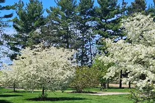 4089 30th Street, Dorr, MI 49323 - Photo 5