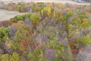 6524 W Montgomery Rd, Camden, MI 49232 - Photo 1