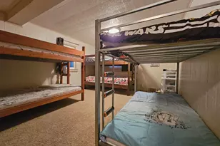 4492 E Bear Lake Rd, Osseo, MI 49266 - Photo 29