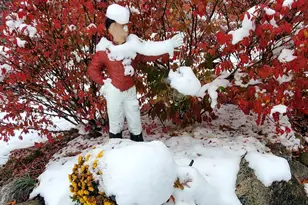 3821 118th Ave, Allegan, MI 49010 - Photo 25