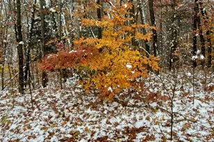 3821 118th Ave, Allegan, MI 49010 - Photo 15