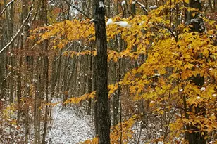 3821 118th Ave, Allegan, MI 49010 - Photo 17