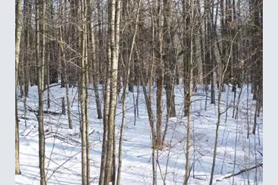 9220 Timberlane Drive, Canadian Lakes, MI 49346 - Photo 3