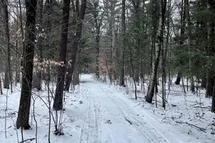 1478 E Gardner Ave, Newaygo, MI 49337 - Photo 15