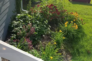 817 W 11 Mile Rd, Royal Oak, MI 48067 - Photo 33