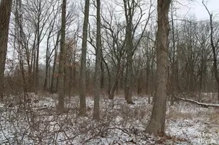 7998 4 Mile Rd NE, Ada, MI 49301 - Photo 1