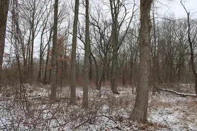 7998 4 Mile Road NE, Ada, MI 49301 - Photo 5