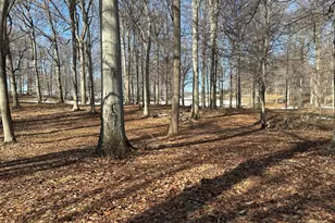 8828 Beechwood Ct, Berrien Center, MI 49102 - Photo 7