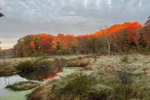 8079 Pigeon Creek Dr, West Olive, MI 49460 - Photo 69