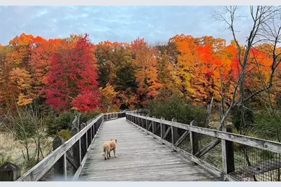 8079 Pigeon Creek Drive, West Olive, MI 49460 - Photo 67