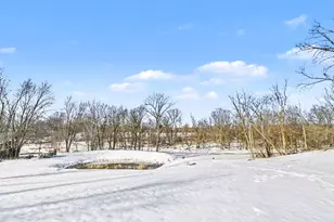 8924 Chicory Ln, Portland, MI 48875 - Photo 37