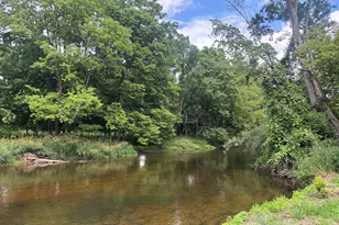 8924 Chicory Ln, Portland, MI 48875 - Photo 41