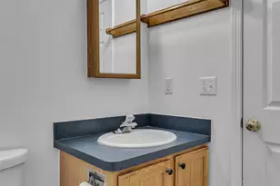 665-667 Vine Ct, Ann Arbor, MI 48103 - Photo 21