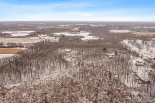 1020 Joshua Dr, Sheridan, MI 48884 - Photo 49