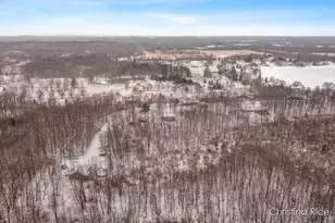 1020 Joshua Dr, Sheridan, MI 48884 - Photo 47