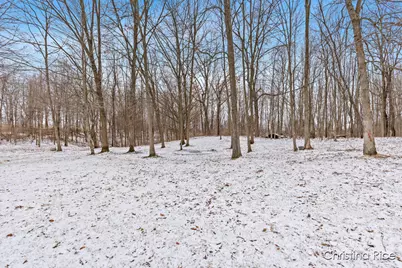 1020 Joshua Drive, Sheridan, MI 48884 - Photo 31