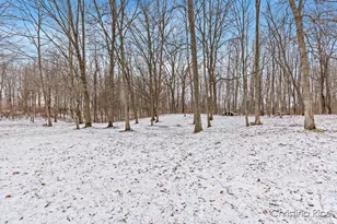 1020 Joshua Dr, Sheridan, MI 48884 - Photo 31