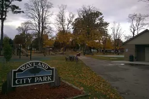 203 Vine St, Wayland, MI 49348 - Photo 39