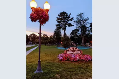 203 Vine Street, Wayland, MI 49348 - Photo 37