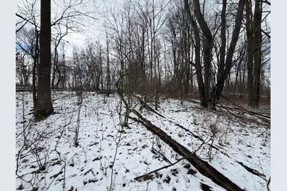 Lot 65 Hosford Drive, Ionia, MI 48846 - Photo 3