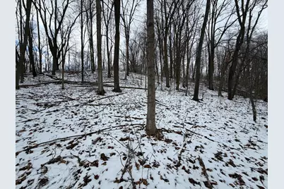 Lot 65 Hosford Drive, Ionia, MI 48846 - Photo 5