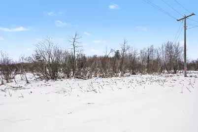 (C) S Deer Lake Road, Reed City, MI 49677 - Photo 5