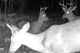 6663 Evanston Ave, Muskegon, MI 49442 - Photo 73