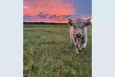 8900 Cleveland Road, Hesperia, MI 49421 - Photo 83