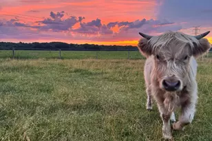 8900 Cleveland Rd, Hesperia, MI 49421 - Photo 83