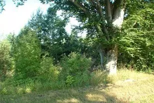 5893 W Austrian Pine Ln, Grant, MI 49327 - Photo 1